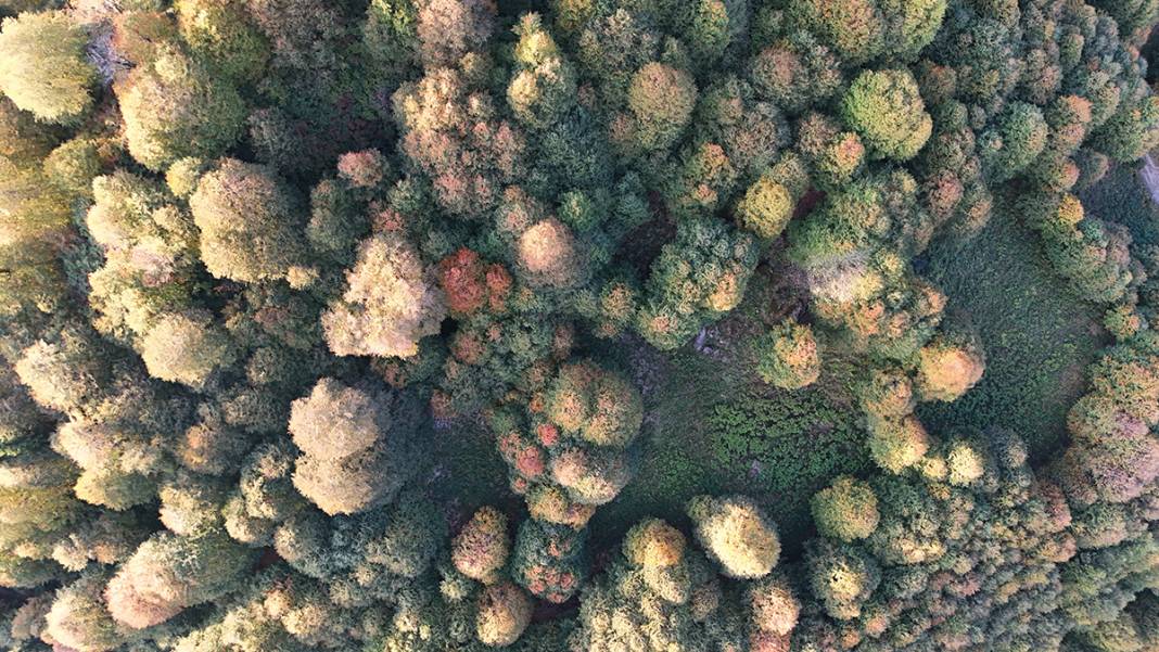 Artvin’in saklı cenneti Borçka Karagöl Tabiat Parkı'na yoğun ilgi 11